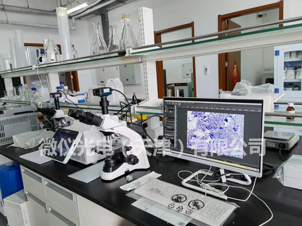 你知道激光共聚焦显微镜所适用的行业有那些吗？